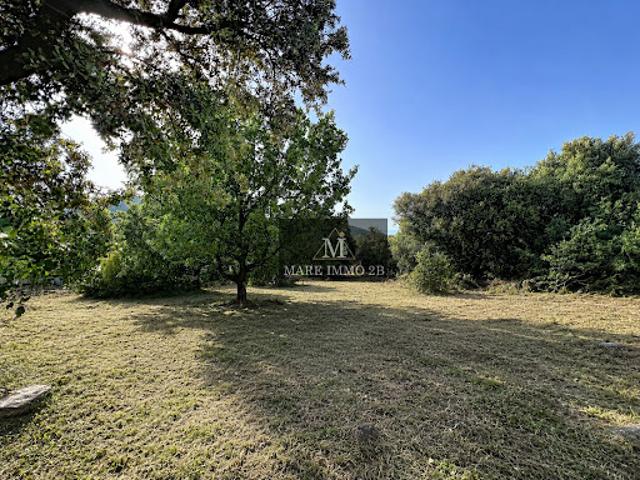 Vente Terrain constructible 1105 m2 Calenzana
