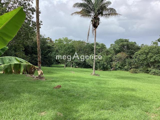 Vente Terrain constructible 11100 m2 Matoury
