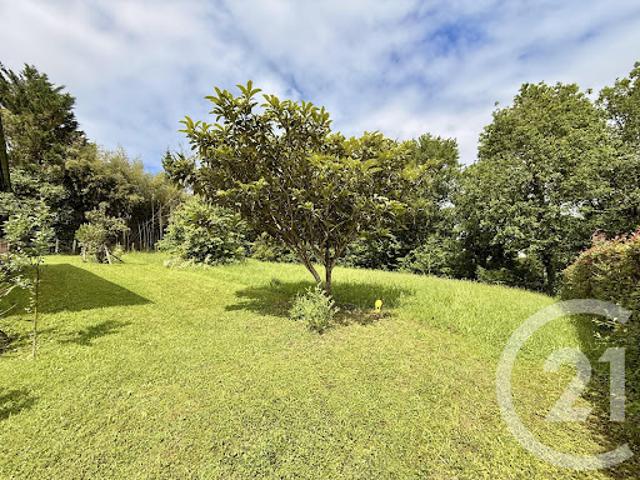 Vente Terrain constructible 1133 m2 Ascain