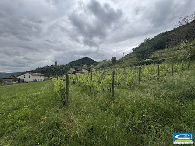 Vente Terrain constructible 1130 m2 Arras sur Rhône