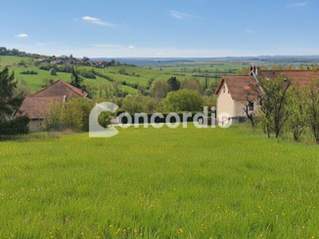 Vente Terrain constructible 1265 m2 Allamps