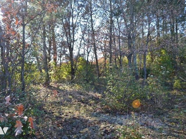 Vente Terrain constructible 1239 m2 Saint Etienne de Fontbellon