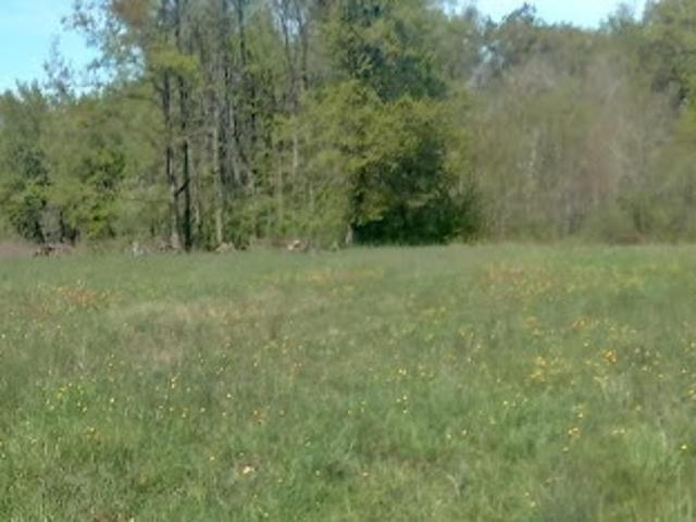 Vente Terrain constructible 1350 m2 Langeais