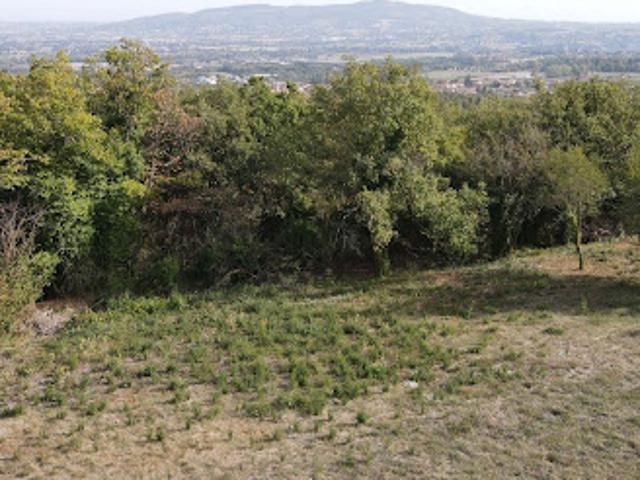 Vente Terrain constructible 1352 m2 Marcy