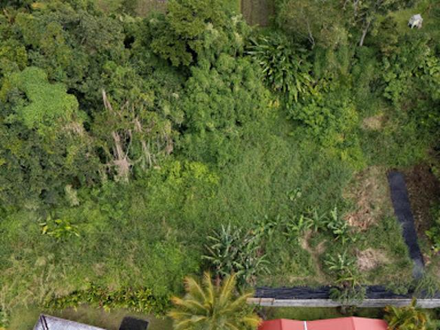 Vente Terrain constructible 1354 m2 Saint claude