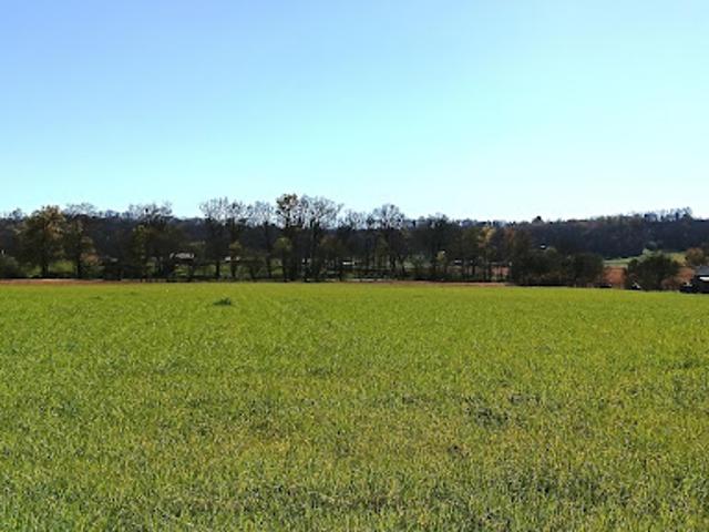 Vente Terrain constructible 1362 m2 Toulouzette
