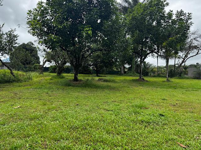 Vente Terrain constructible 1329 m2 Matoury