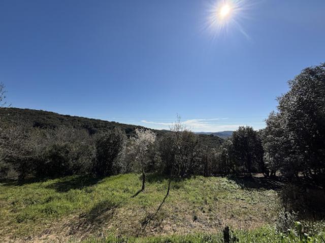 Vente Terrain constructible 1330 m2 Roquessels