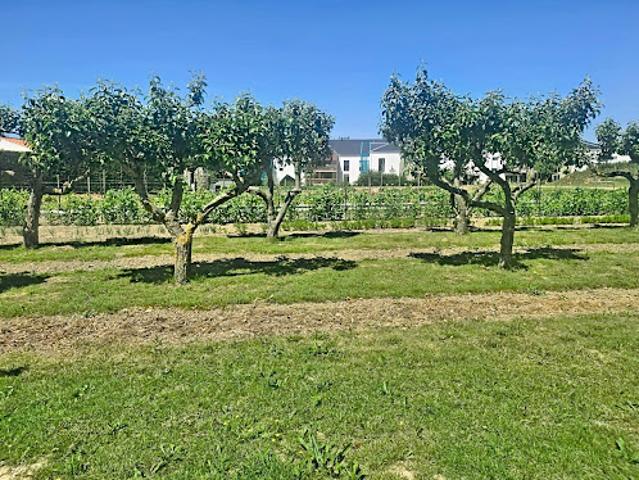 Vente Terrain constructible 1469 m2 Chateau d'olonne