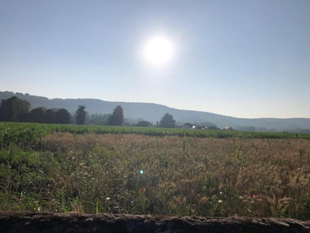 Vente Terrain constructible 1481 m2 Angaïs