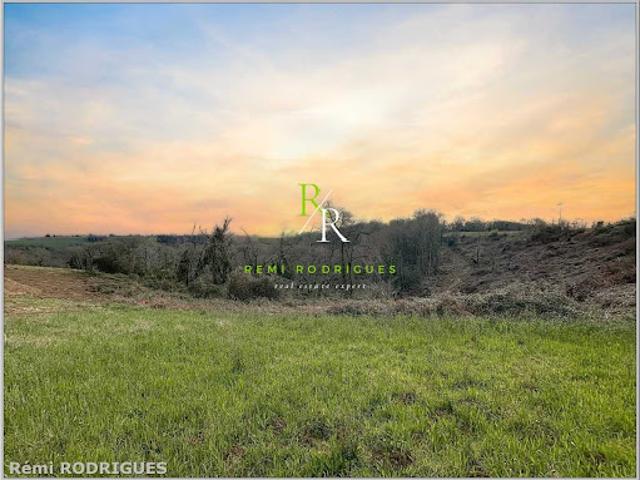Vente Terrain constructible 1512 m2 Sauvagnon