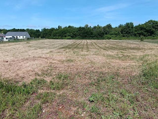 Vente Terrain constructible 1529 m2 Les Aix d'Angillon