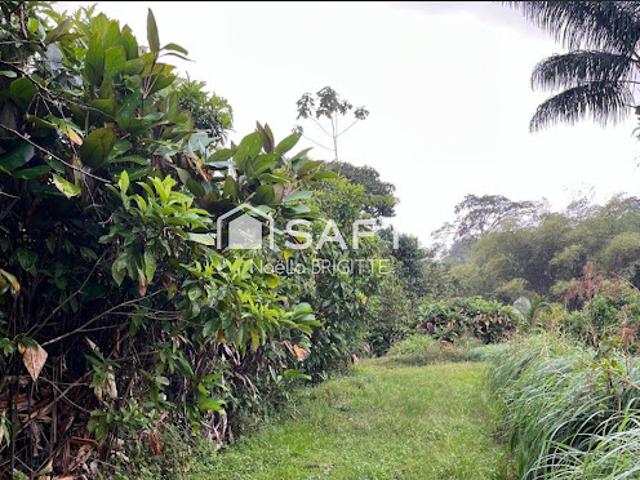 Vente Terrain constructible 16608 m2 Roura