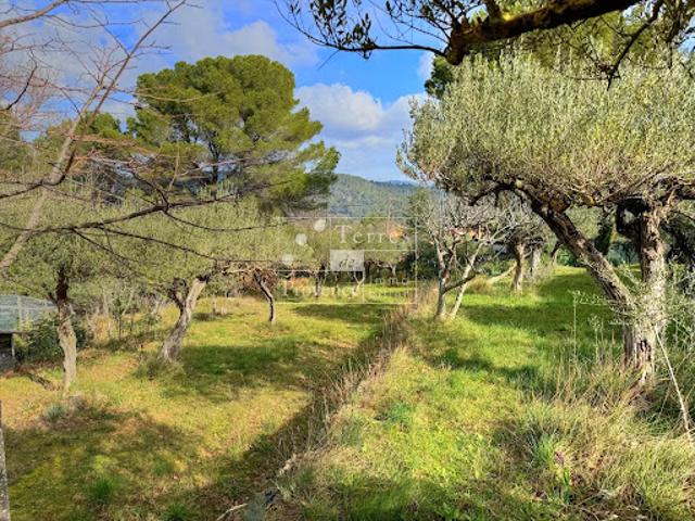 Vente Terrain constructible 1679 m2 Salernes