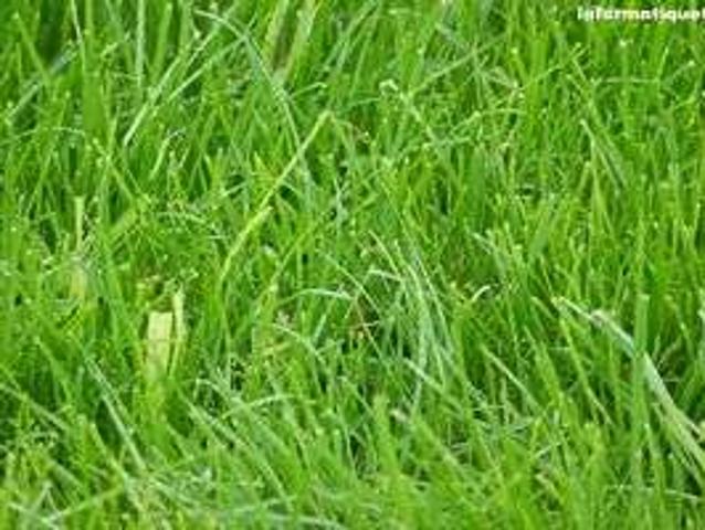 Vente Terrain constructible 1688 m2 Verjux