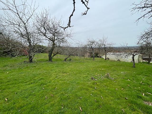 Vente Terrain constructible 1600 m2 Aixe sur Vienne