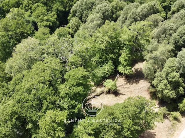 Vente Terrain constructible 1614 m2 Vero