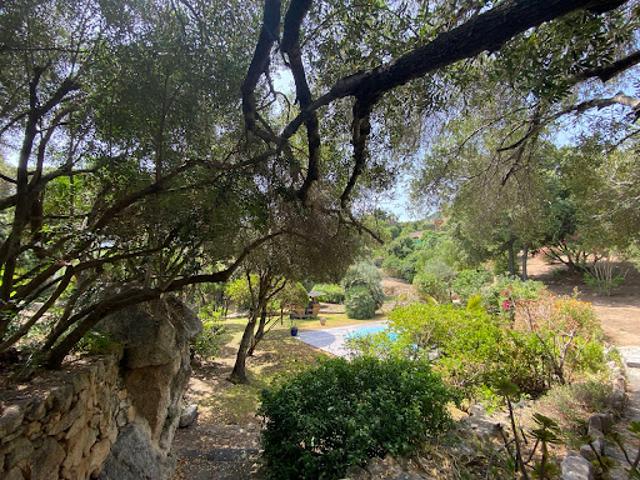 Vente Terrain constructible 1623 m2 Calvi