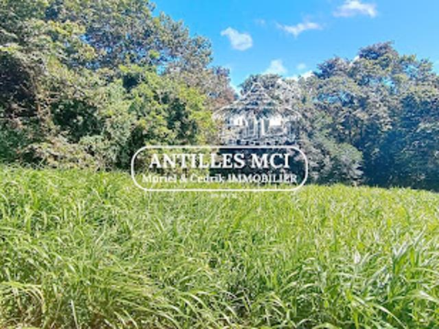 Vente Terrain constructible 1632 m2 Riviere salee