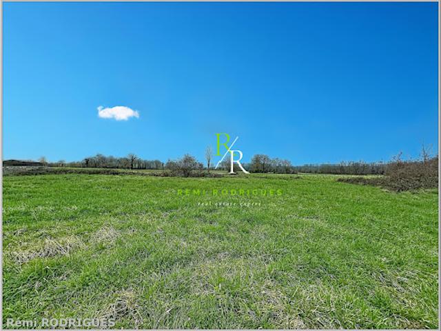Vente Terrain constructible 1779 m2 Sauvagnon