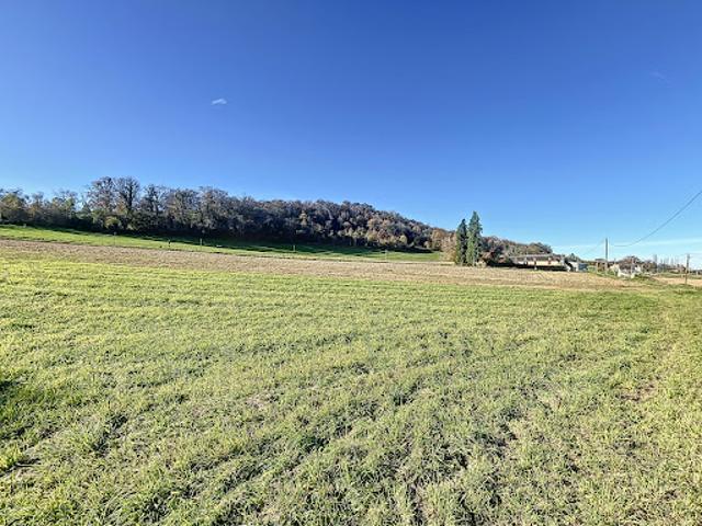 Vente Terrain constructible 1731 m2 Monein