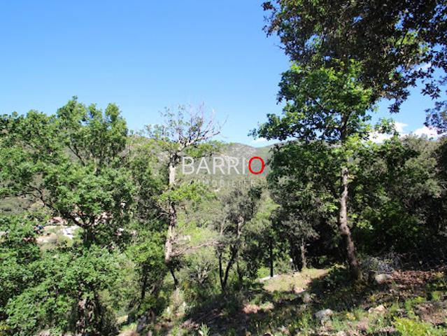 Vente Terrain constructible 1870 m2 Sorède