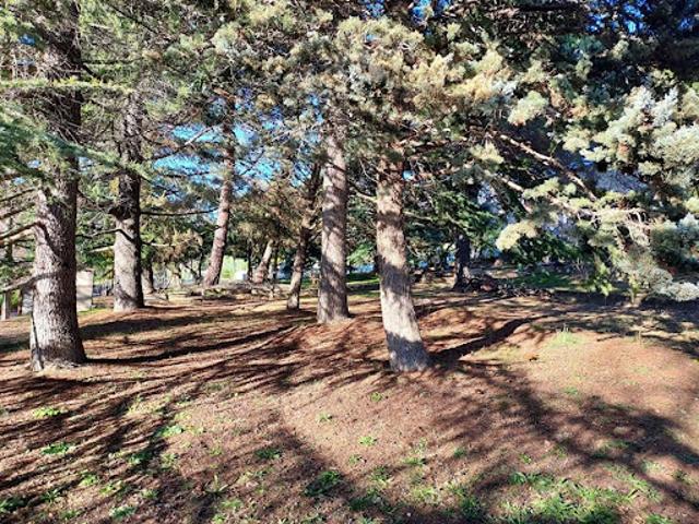 Vente Terrain constructible 1800 m2 Berre les Alpes