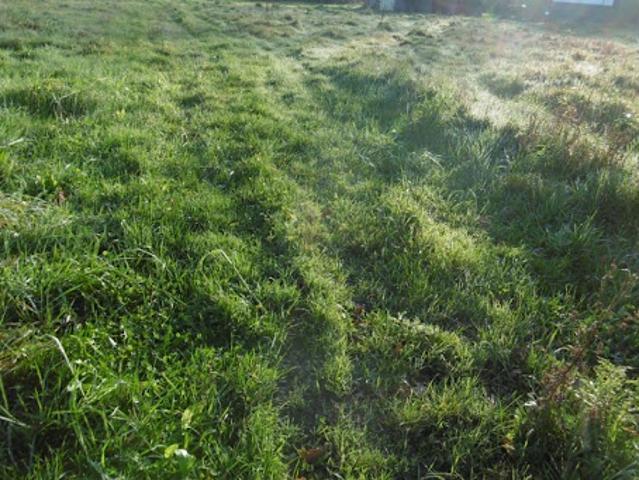 Vente Terrain constructible 1816 m2 Ombrée d'Anjou