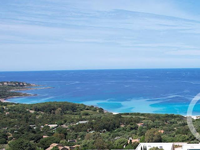 Vente Terrain constructible 1978 m2 Corbara