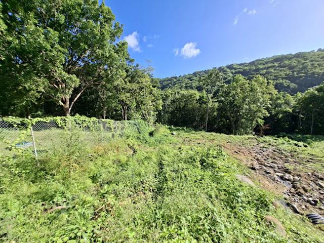 Vente Terrain constructible 1981 m2 Sainte luce