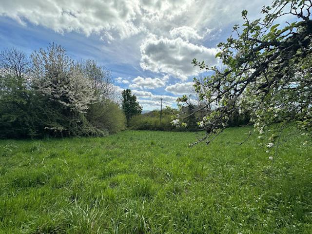 Vente Terrain constructible 1995 m2 Montredon Labessonnié