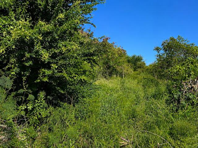 Vente Terrain constructible 1918 m2 L'Etang Sale