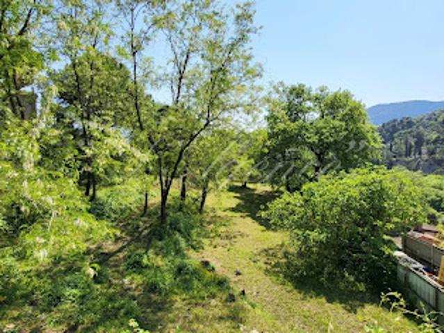 Vente Terrain constructible 1924 m2 Contes
