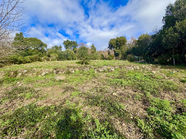 Vente Terrain constructible 2092 m2 Talasani