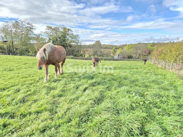 Vente Terrain constructible 2000 m2 Etrabonne