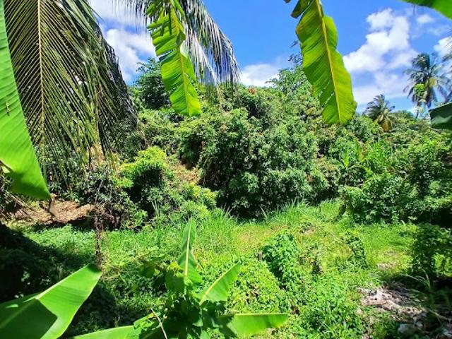 Vente Terrain constructible 2000 m2 La trinite