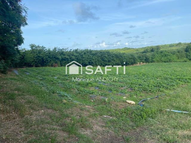 Vente Terrain constructible 2000 m2 Le vauclin