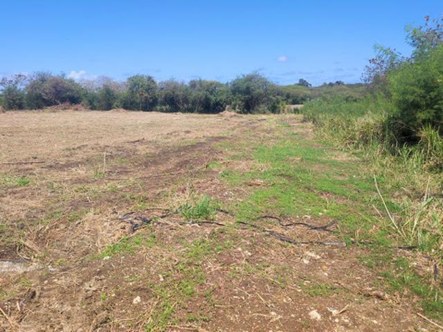 Vente Terrain constructible 2154 m2 Saint François