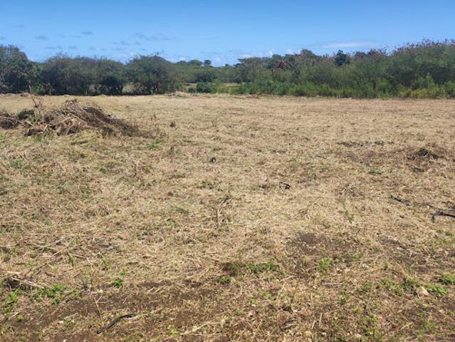 Vente Terrain constructible 2154 m2 Saint François