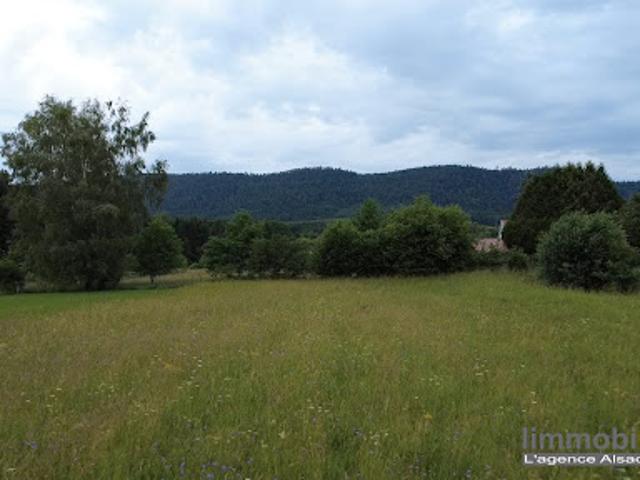 Vente Terrain constructible 2195 m2 Etival Clairefontaine