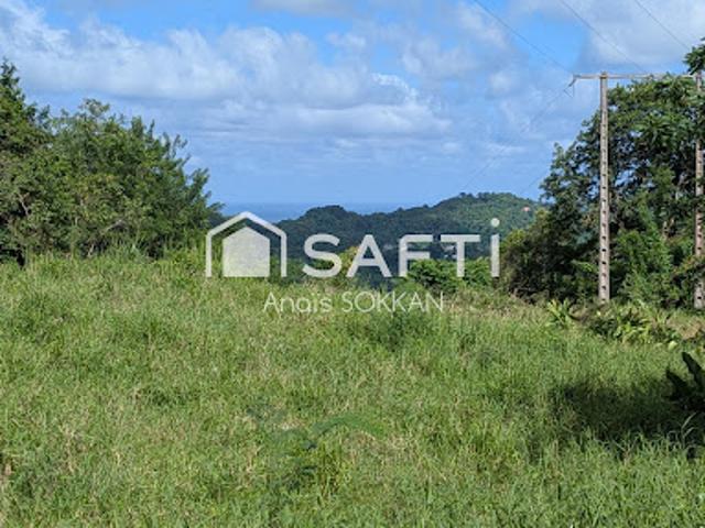 Vente Terrain constructible 2227 m2 Riviere pilote
