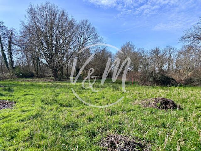 Vente Terrain constructible 2232 m2 Lanton