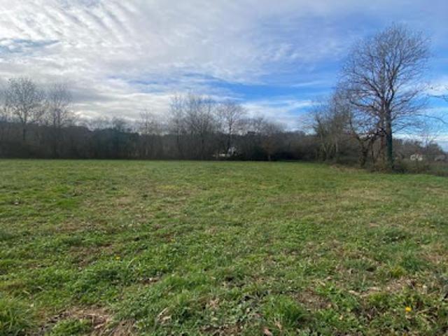 Vente Terrain constructible 2300 m2 Biron