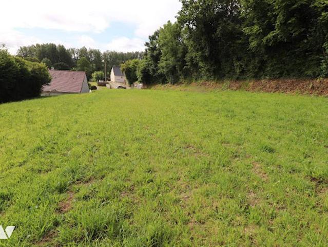 Vente Terrain constructible 2556 m2 Benoîtville