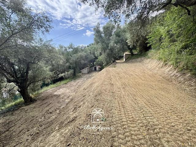 Vente Terrain constructible 2560 m2 Contes