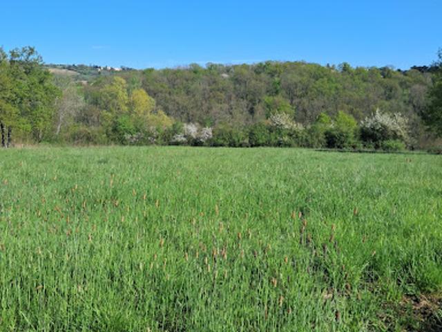 Vente Terrain constructible 2569 m2 Cusset