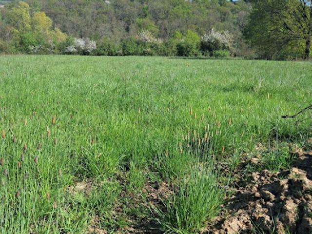 Vente Terrain constructible 2591 m2 Cusset