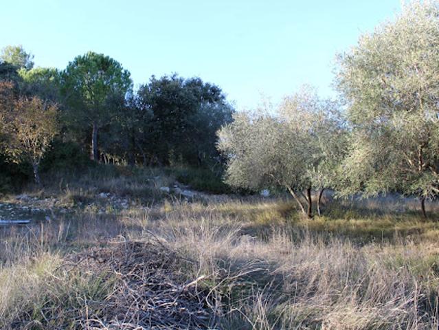 Vente Terrain constructible 2500 m2 Uchaud