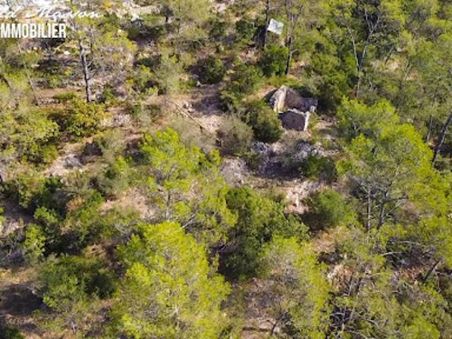 Vente Terrain constructible 2500 m2 Belgentier