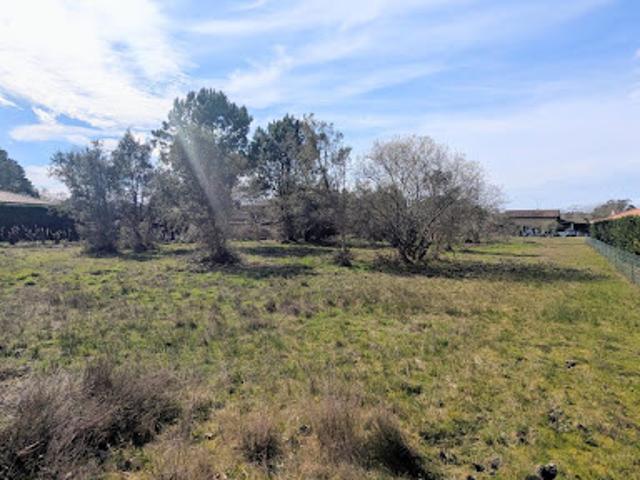 Vente Terrain constructible 2500 m2 Messanges